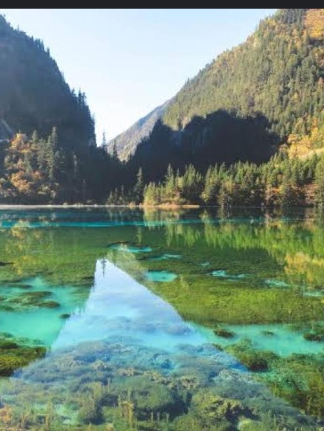 "Hyderabad’s Lake Scenes Are Worth The Hype!"