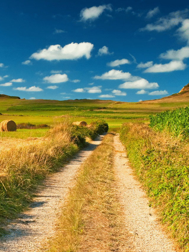 Why Is Investing in Agricultural Land Trending in Telangana?