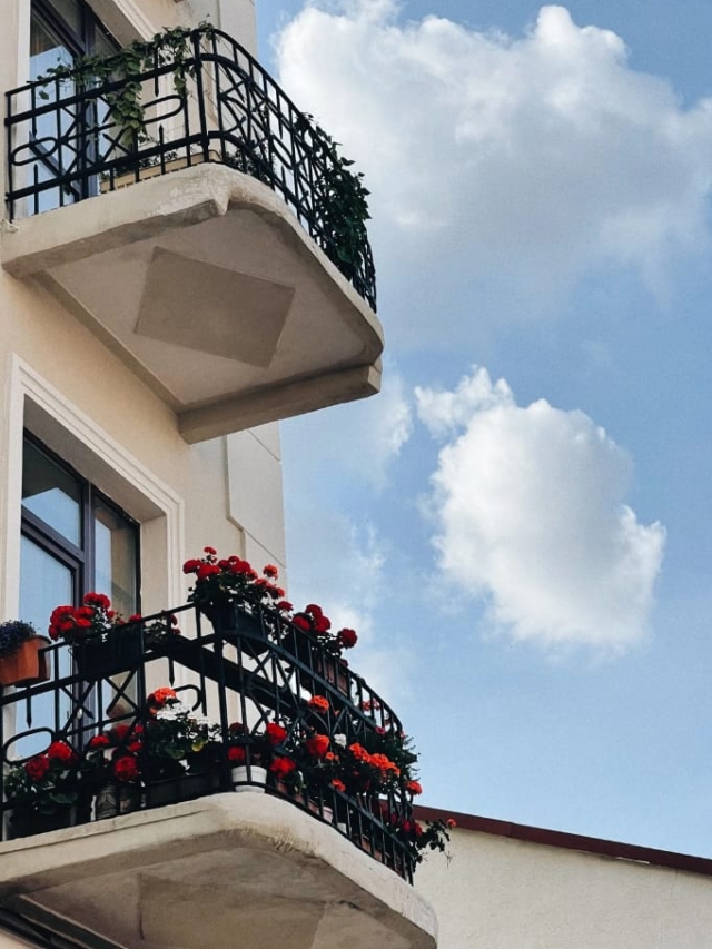 "Balcony Gardening: Hyderabad’s Secret Weapon Against Boredom"