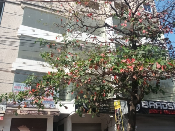 Exclusive Commercial Showroom for Sale at Tolichowki X Road Near Limra Food Court