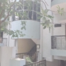 3BHK Flats for Sale in Banjara Hills Road No.12 | Luxury Living Hyderabad